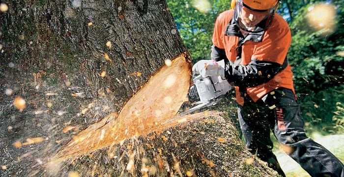 Best chainsaws Reviews-Buyer Guide 2020